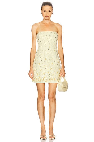 Yasmin Bustier Mini Dress SIMKHAI